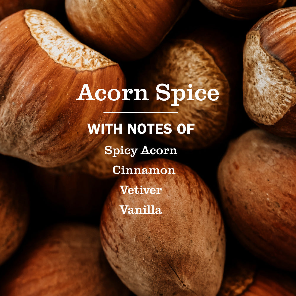 Acorn Spice Plug In Scented Oil Refill, 2-Pack