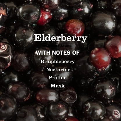 Elderberry Plug In Scented Oil Warmer With Refill
