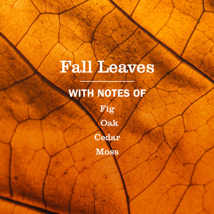 Fall Leaves Plug In Scented Oil Warmer With Refill