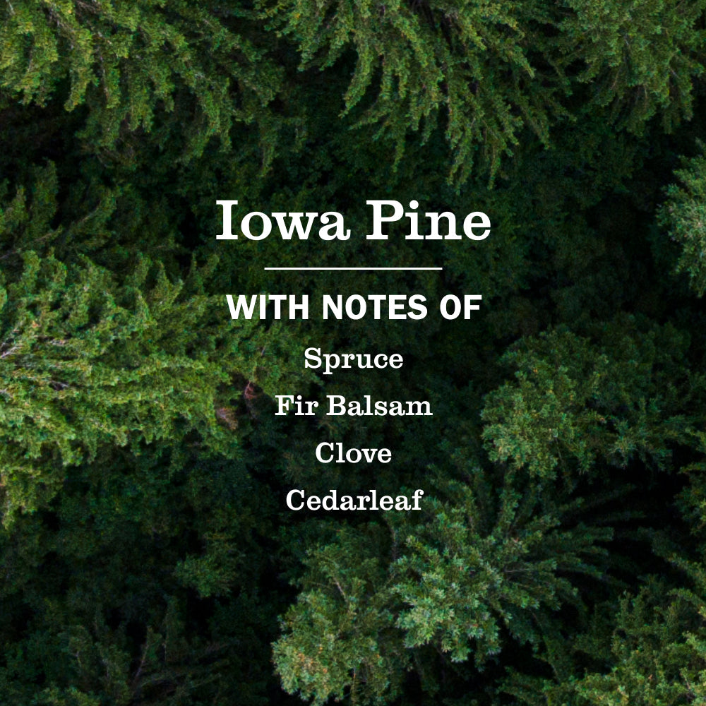 Iowa Pine Plug In Scented Oil Warmer With Refill