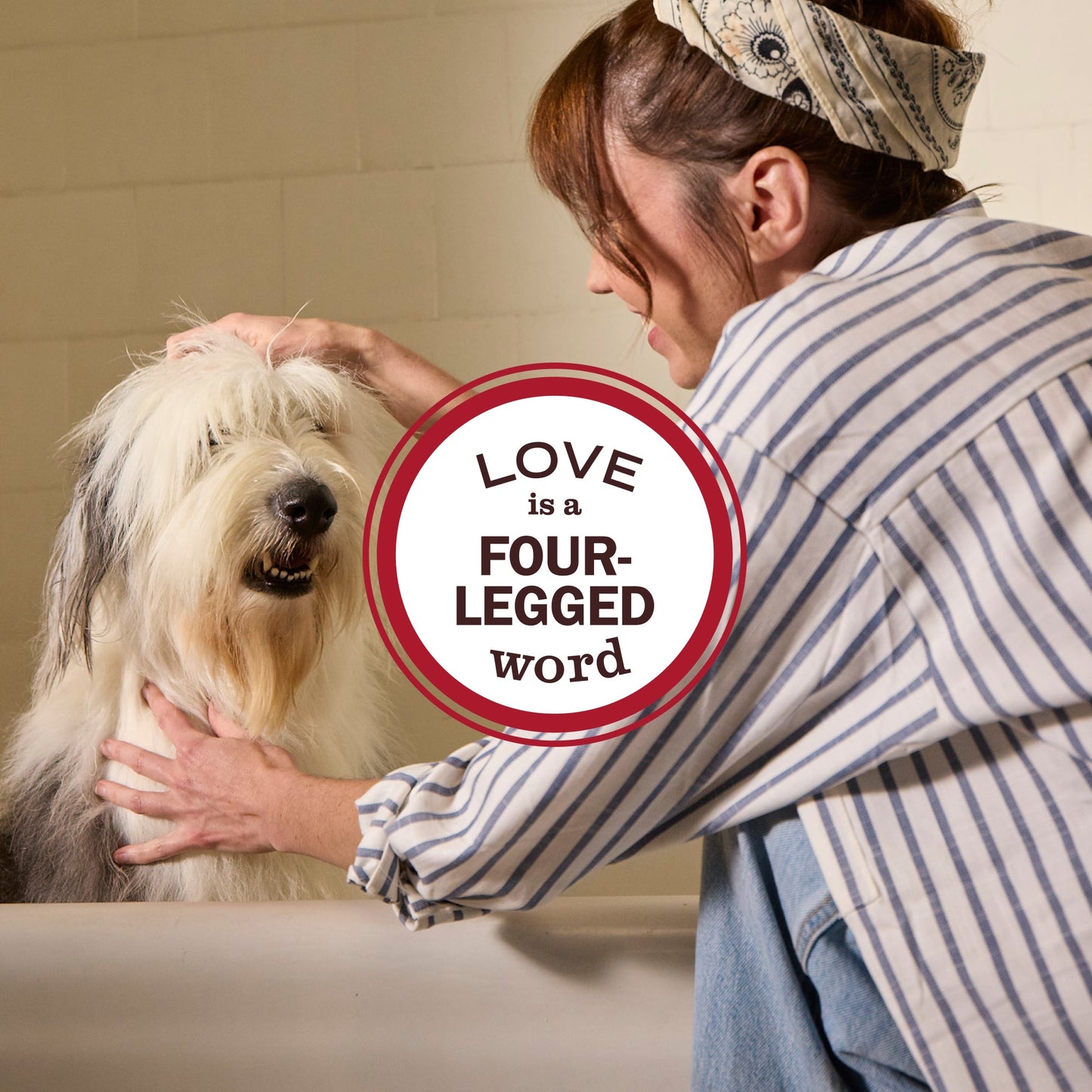 Sweet Chamomile 3-in-1 Dog Shampoo