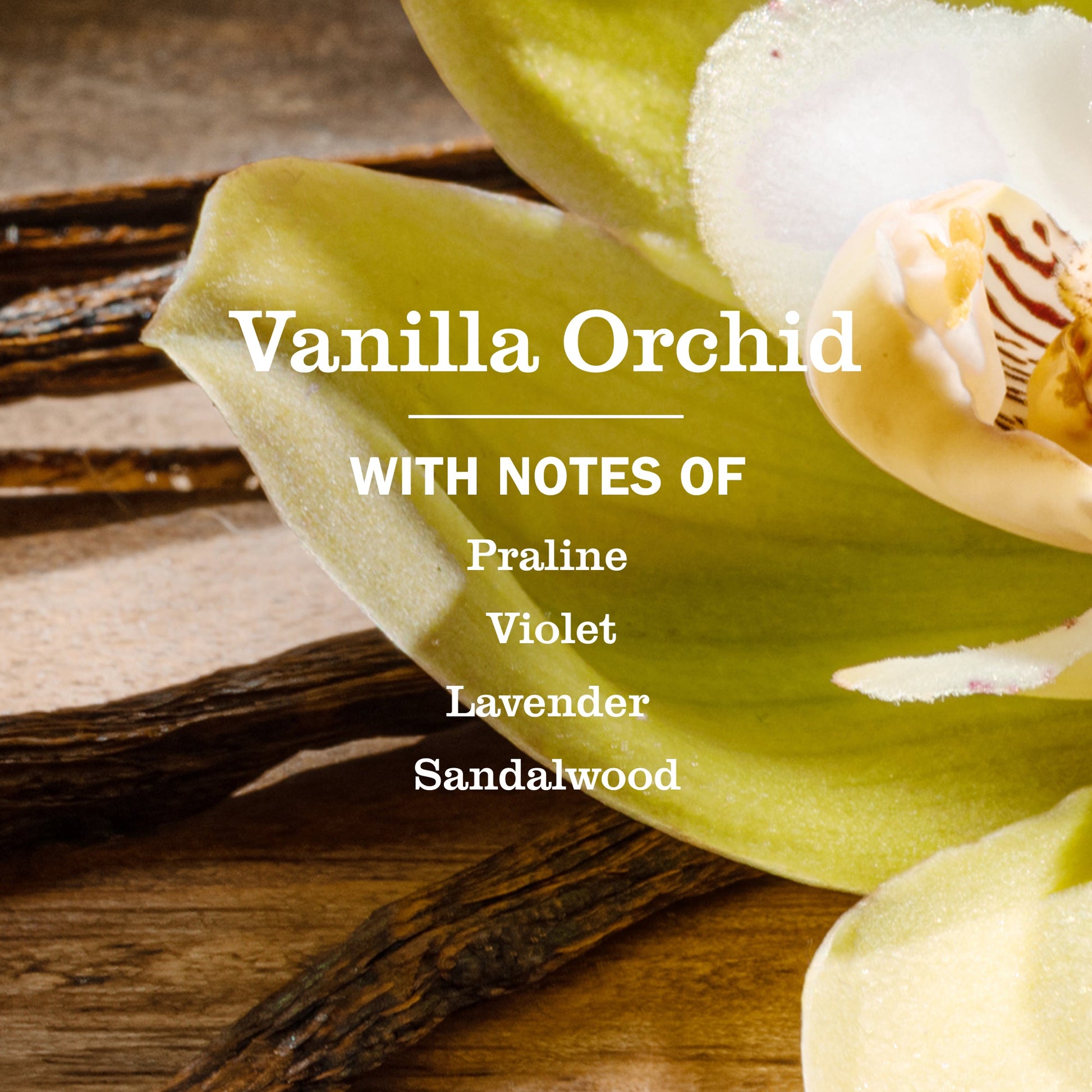 Vanilla Orchid Liquid Hand Soap