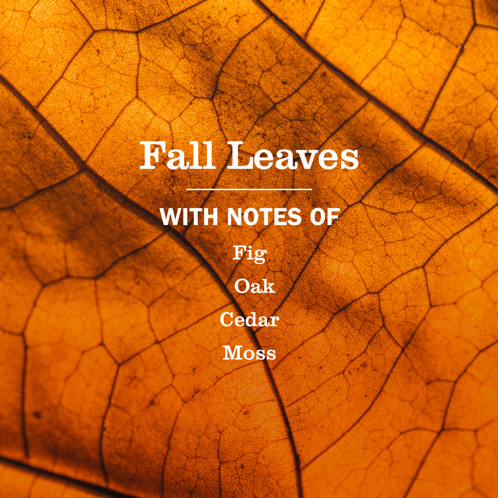 Fall Leaves Multi-Surface Everyday Cleaner 3-count Bundle
