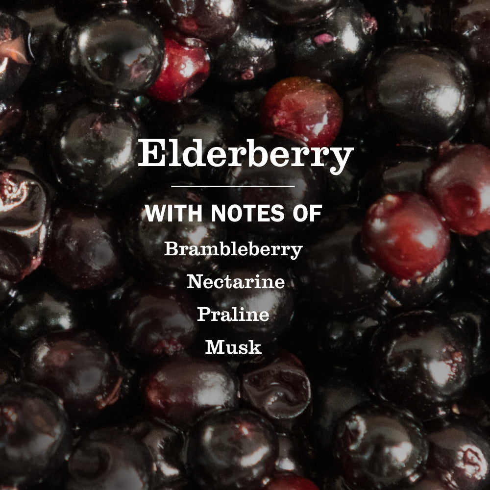 Elderberry Dish Soap