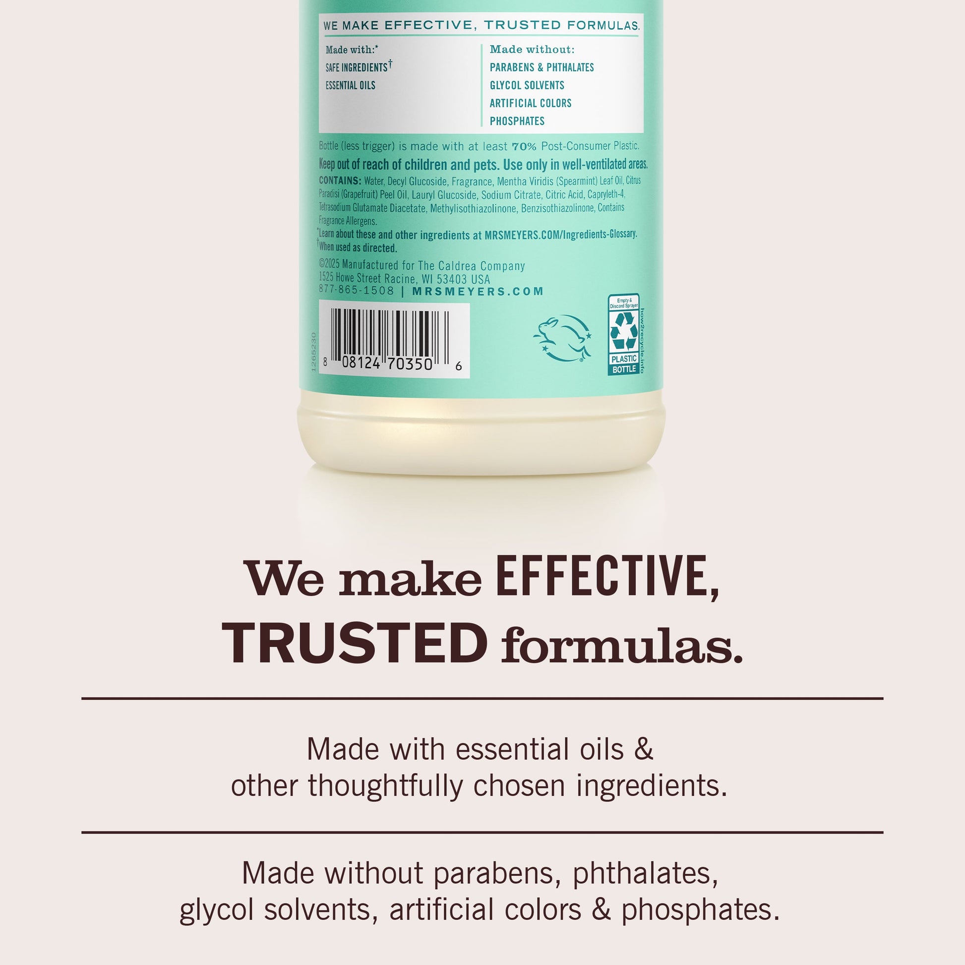 Mint Multi-Surface Everyday Cleaner