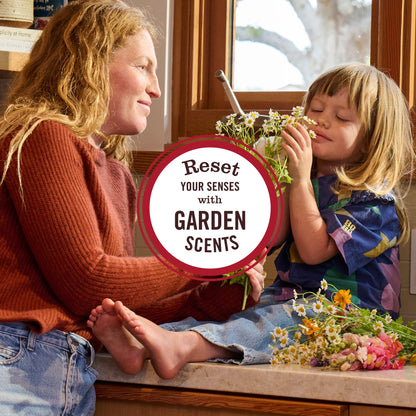 Basil Room Freshener