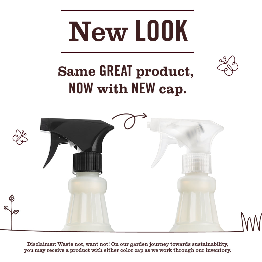 Rosemary Multi-Surface Everyday Cleaner