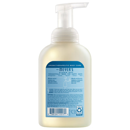 Rain Water Foaming Hand Soap