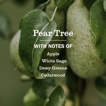 Pear Tree Liquid Hand Soap