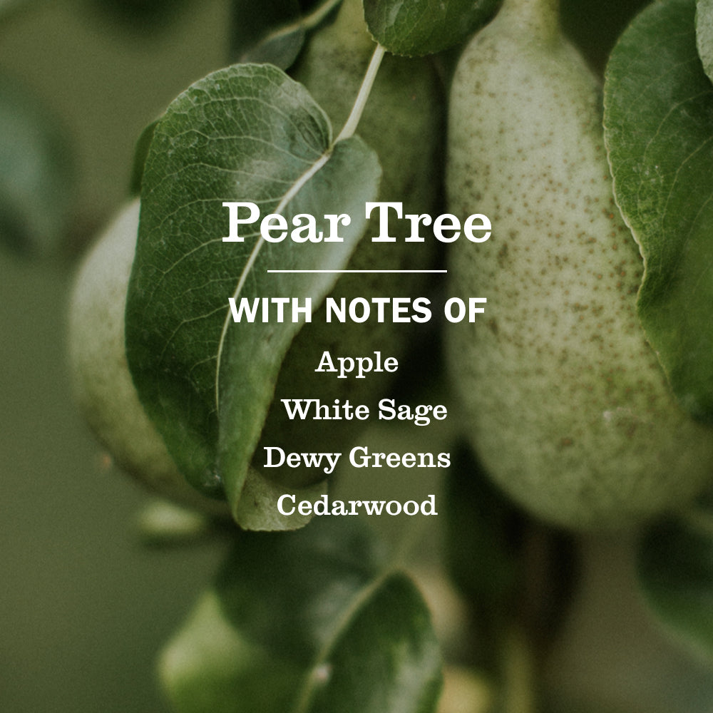 Pear Tree Multi-Surface Everyday Cleaner