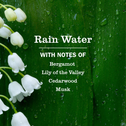 Rain Water Foaming Hand Soap