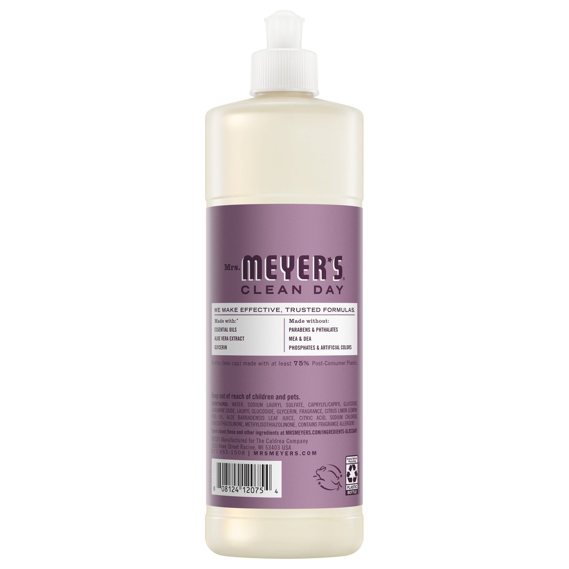 Elderberry Dish Soap